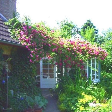 Ferienwohnung Diena - Unterkunft Mit Toller Ausstattung Und Zwei Terrassen Тарп Екстер'єр фото